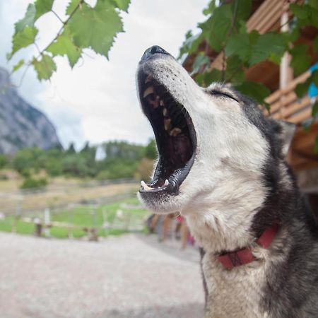 Agriturismo Athabaska Сан Лоренцо ин Банале Екстериор снимка