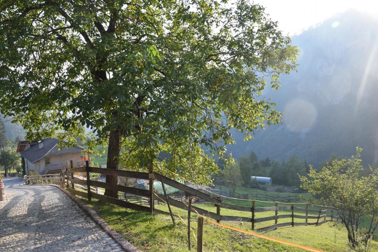Agriturismo Athabaska Сан Лоренцо ин Банале Екстериор снимка